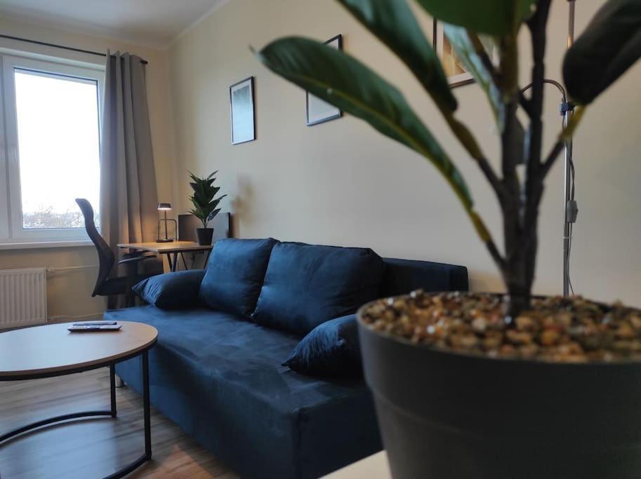***Santorini Apartament*** - 40M² ✓ Rybnik  Bagian luar foto
